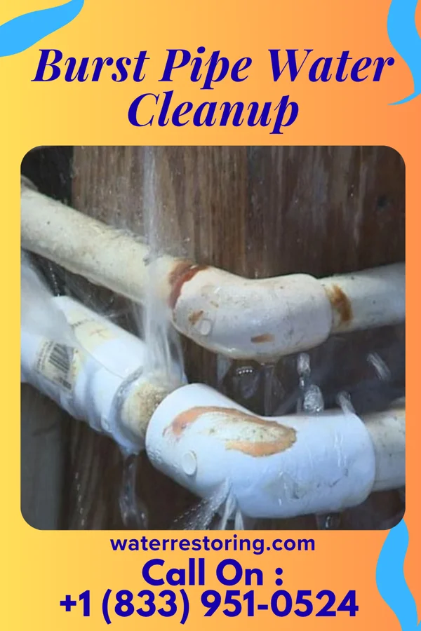 Burst Pipe Water Cleanup in Lake Waynoka, OH