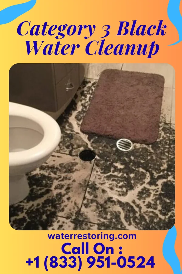 Category 3 Black Water Cleanup in Lake Waynoka, OH