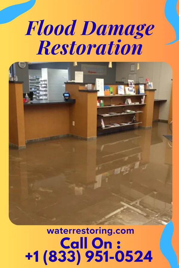 Flood Damage Restoration in Lake Waynoka, OH