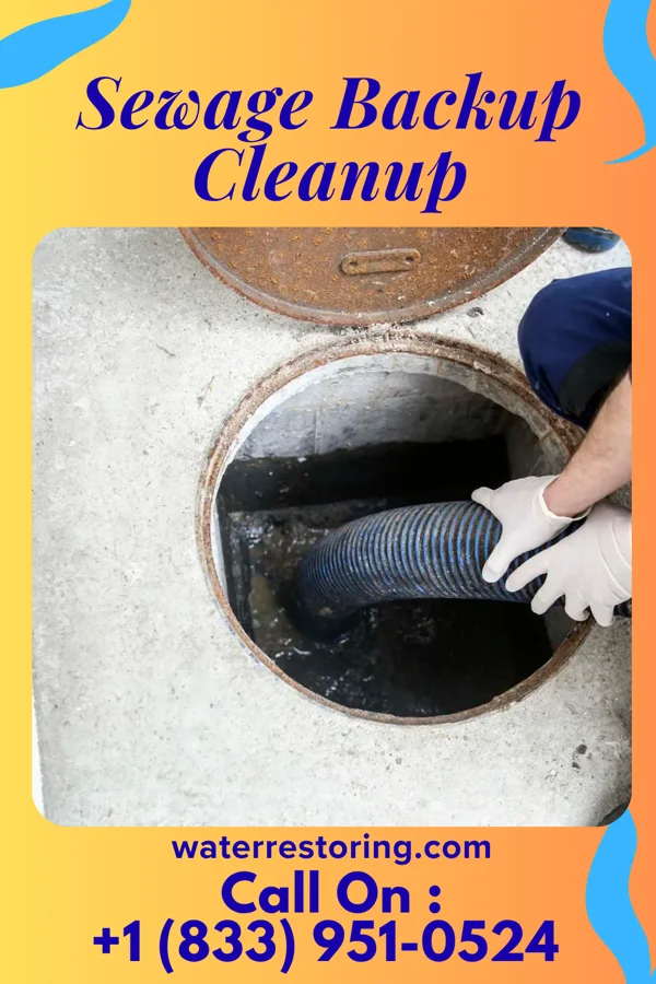 Sewage Backup Cleanup in Lake Waynoka, OH