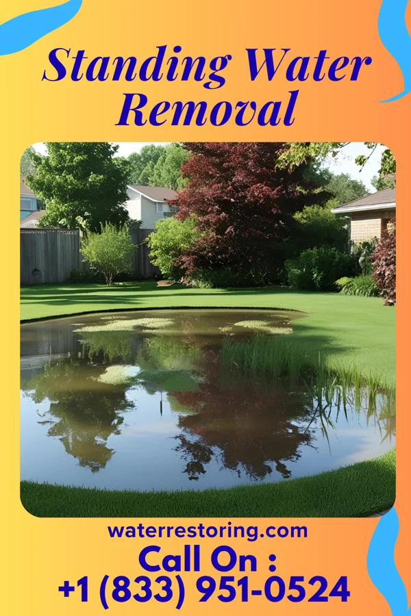 Standing Water Removal in Lake Waynoka, OH